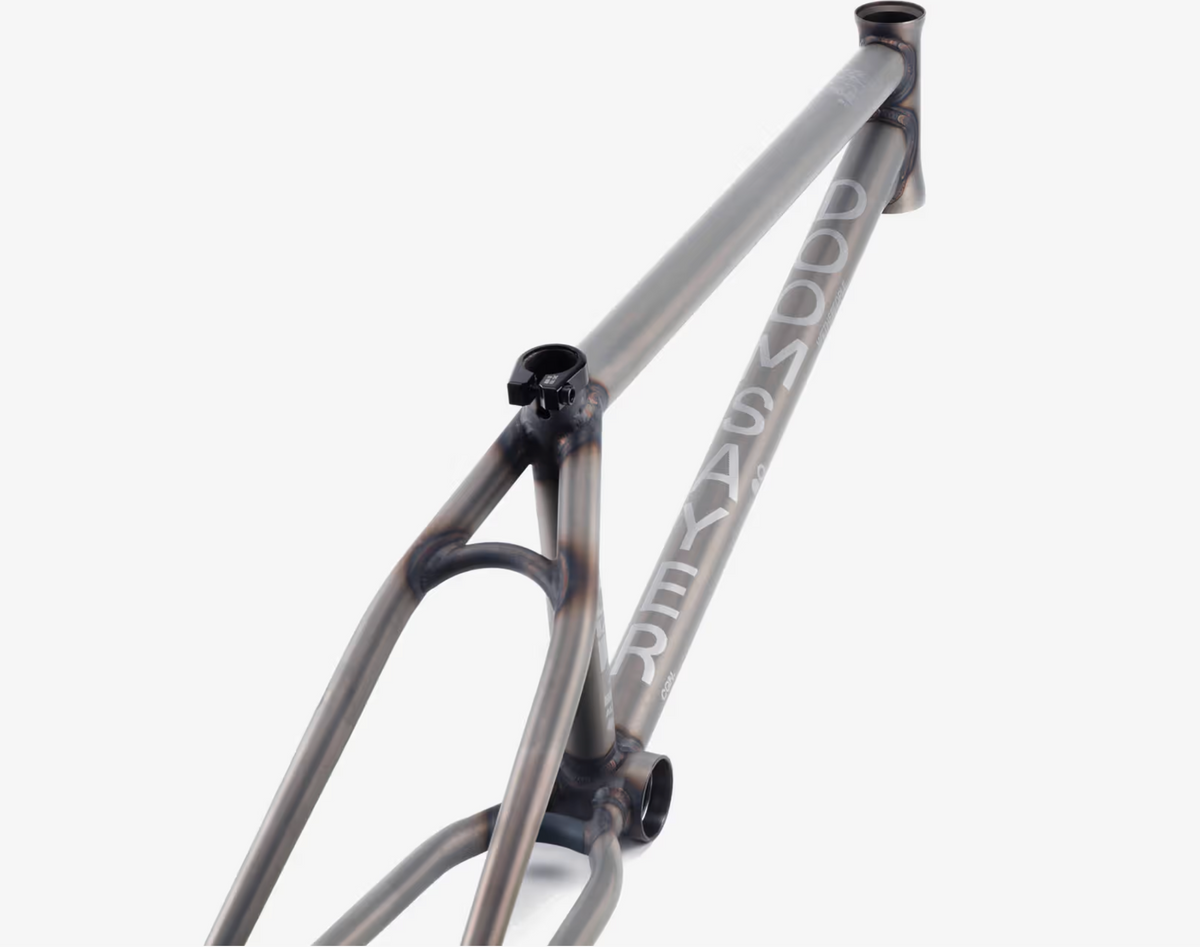 Wethepeople Doomsayer Frame USED